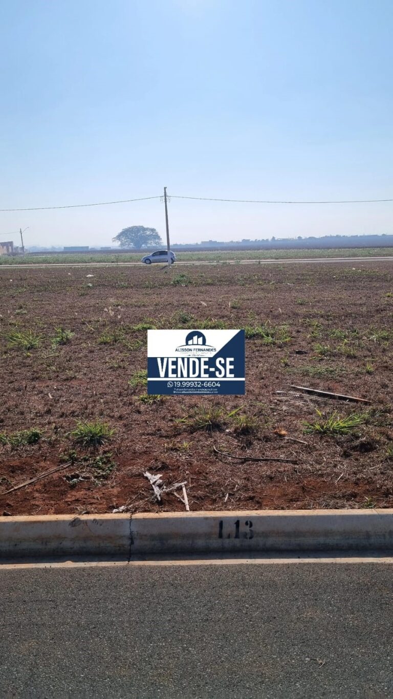 Terreno 3