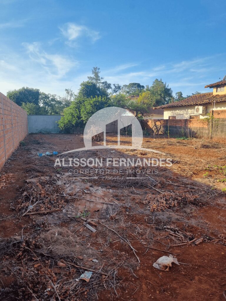 terreno 2