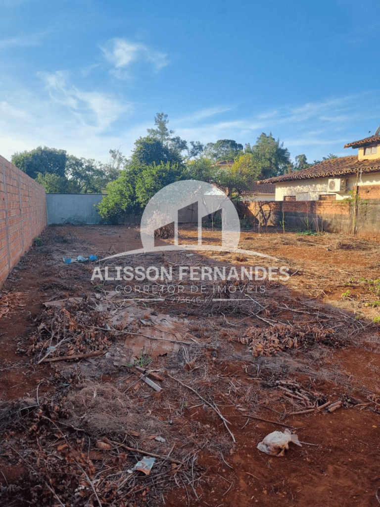 terreno 2
